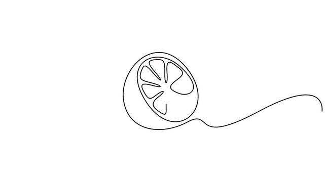 Self animated continuous one-line drawing of a lemon or orange slice. Full length one line animation