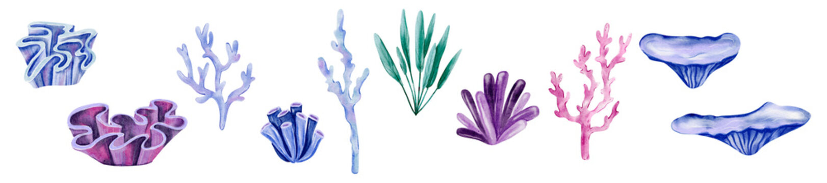 Watercolor Collection of Coral Reef Elements Featuring Sea Corals, Tubes, and Marine Flora in Blue, Purple, and Pink Tones