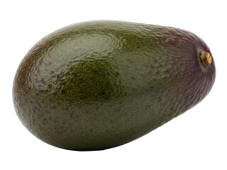 Isolated Fresh avocado whole fruit, dark green skinned, brown stalk end on no background