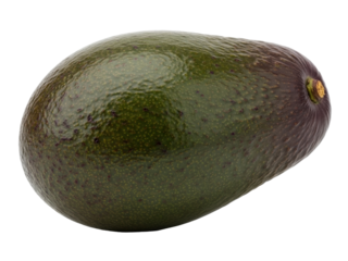 Isolated Fresh avocado whole fruit, dark green skinned, brown stalk end on no background