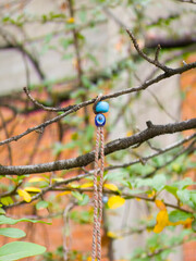 Turkish evil eye charm hanging on a tree branch