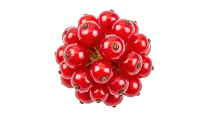Isolated bunch of ripe red currants, Ribes rubrum, with glossy skin and no background