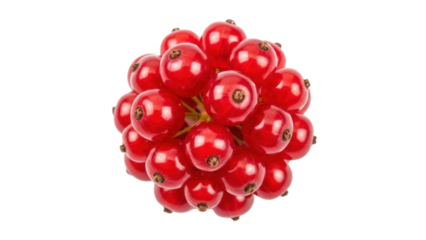 Isolated bunch of ripe red currants, Ribes rubrum, with glossy skin and no background