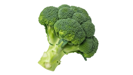 Fresh green broccoli floret isolated PNG, healthy vegetable for cooking and salads on transparent background