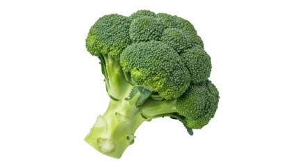 Fototapeten Gemüse Fresh green broccoli floret isolated PNG, healthy vegetable for cooking and salads on transparent background  © Nolan