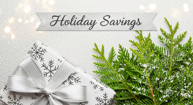 Wrapped gift with snowflake pattern, next to coniferous branch. Silver banner with inscription "Holiday Savings". Festive composition, winter concept. - Powered by Adobe