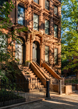 Park Slope Historic District townhouse in morning light. Classic brownstone facade and entry steps on tree-lined residential street. Brooklyn, New York City, USA