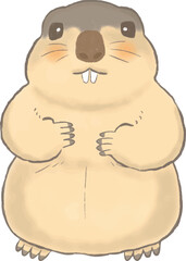 Fototapeta premium かわいいマーモットの手描き風イラスト
