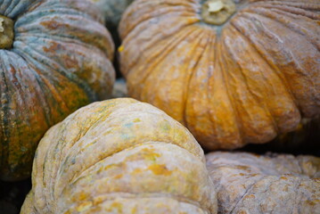 pumpkin on a market, Close-up photo of a pumpkin. The yellow skin is thick.