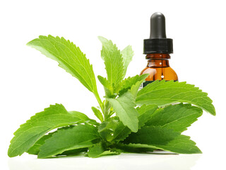 Food and Health - Stevia Leaves on white Background