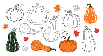 A collection of hand-drawn pumpkins and gourds in various shapes with autumn maple leaves in a doodle sketch style.