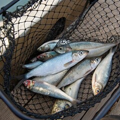 fishing nets on a fishing boat