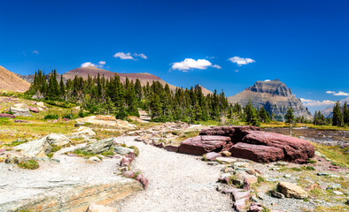 Hiking trail winds past red argillite rocks toward Going-to-the-Sun Mountain in Glacier National Park, Montana. Scenic alpine landscape features green pine trees in UNESCO World Heritage site