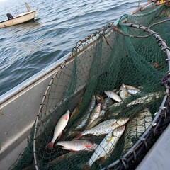 fishing nets on a fishing boat