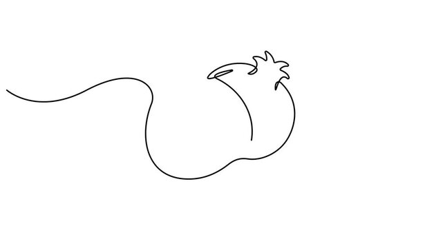 Shana Tova pomegranate single line animated illustration. One continuous self drawing line animation, footage with lettering happy Shana Tova. Continuous fruits and vegetables video. 4K video