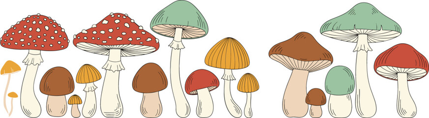 Hand Drawn Mushroom Vector Border Featuring Colorful Forest Fungi, Toadstools, and Botanical Nature Elements in Vintage Style