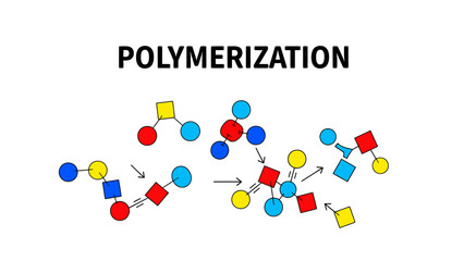 Schematic vector illustration showing the concept of Polymerization.