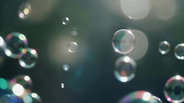 The video shows floating soap bubbles drifting peacefully through the air shimmering beautifully in soft natural light