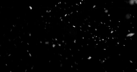 Obraz premium Falling snowflakes isolated on black background. Winter snow overlay texture for VFX, compositing, motion graphics and atmospheric effects