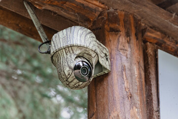Camouflaged surveillance camera capturing outdoor environment, providing security and observing wildlife activity in a natural setting
