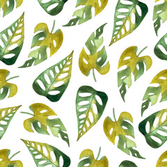 seamless pattern of monstera and philodendron watercolor leaves hand drawn on white background © elenaseiryk