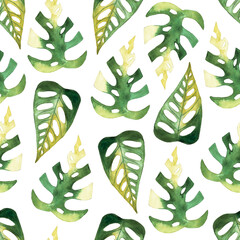 seamless pattern of monstera and philodendron watercolor leaves hand drawn on white background © elenaseiryk