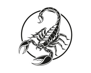 A striking black and white graphic of a scorpion with its tail curled upwards, enclosed within a circular border. The artwork is highly detailed