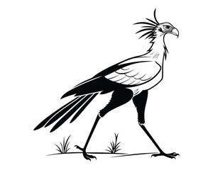 A striking black and white sketch depicts a secretary bird with its distinctive crest, long legs, and poised stride across grassy terrain