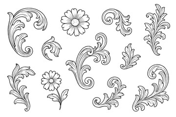 Fototapeta premium Collection of hand drawn baroque acanthus scroll ornaments and daisy flowers