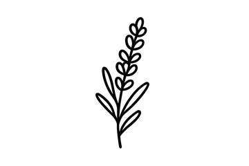 Minimalist black outline drawing of a single lavender sprig with leaves
