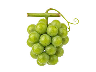 Isolated bunch of fresh green grapes with stem and curly tendril, ready to eat, healthy food