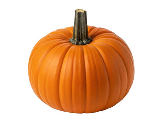 Isolated orange pumpkin with stem, seasonal fall harvest vegetable for Halloween design