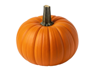 Isolated orange pumpkin with stem, seasonal fall harvest vegetable for Halloween design