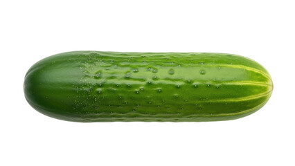 Isolated Cucumber Vegetable with Bumpy Skin Fresh from the Garden Green Raw Healthy Food