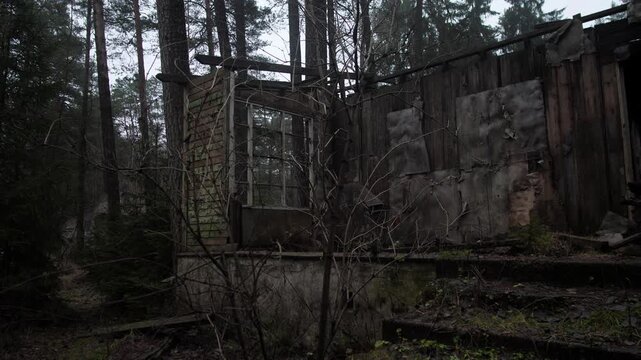 War in Ukraine destroyed building exposed window frame in forest ruin, bare sill frames mossy trees and encroaching vines, weathered boards and peeling brick suggest long abandonment,