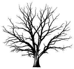 Obraz premium A black and white silhouette of a bare tree with no leaves, black, illustration, profile, tree, against transparent background