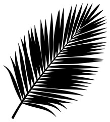 Obraz premium A black and white silhouette of a palm leaf, black, illustration, leaf, palm tree, profile, tropic, white, against transparent background