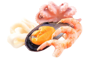 seafood mix. Mussels, shrimp, squid and more on a white background