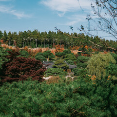 village in the mountains
