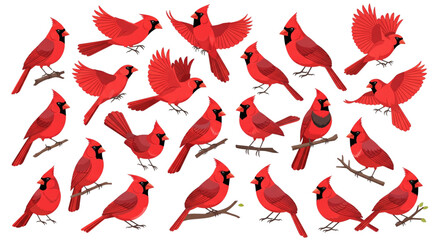 Vibrant Red Northern Cardinals Collection Wildlife Design Elements for Nature Projects and Spring Decor