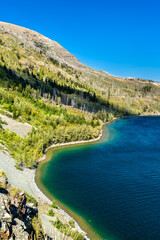 Saint Mary Lake shoreline features dead trees and green regrowth at Sun Point in Glacier National Park, Montana. Scenic view shows blue water and wildfire recovery in UNESCO World Heritage site