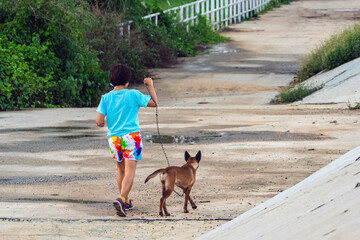 Asian woman walking together with her pet along path in park. Sports woman walking for exercise with dog outside in park. Cheerful woman walking and running with her dog on sidewalk. Active leisure.
