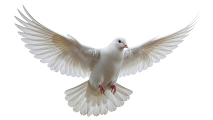 Fototapeta premium Elegant white dove flying isolated PNG on transparent background, symbol of peace and freedom for design projects