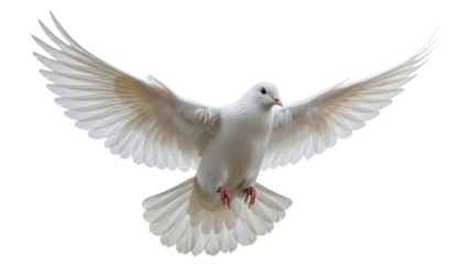 Elegant white dove flying isolated PNG on transparent background, symbol of peace and freedom for design projects