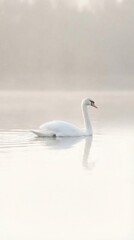 White swan swimming on a misty lake at dawn with soft natural light. Serene nature scene for meditation and relaxation artwork.