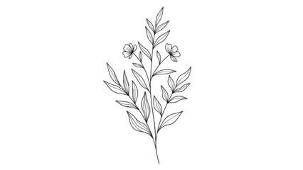 Fototapeta premium Delicate Floral Illustration: A sophisticated black and white botanical illustration of a sprig of leaves and petite flowers, a perfect blend of elegance and simplicity.