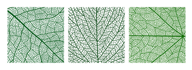 Green leaf vector textures with veins. Green botanical leaf cells background for eco friendly posters, environment, textile print. Detail closeup leaf skeleton for friendly environment pattern