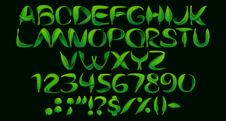 Green leaf font, plant typeface, garden tree leaves type, nature english alphabet. Vector spring plant floral font letters and numbers typography set. Fresh green foliage typeface alphabet symbols © Vector Tradition