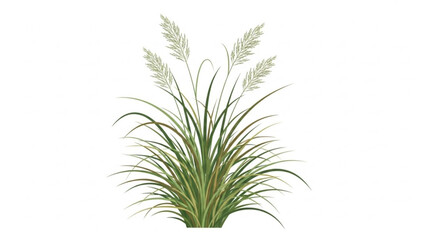 Ornamental Grasses: Graceful ornamental grasses, with their feathery plumes and vibrant green blades, sway gently in the breeze. An emblem of natural elegance and tranquil beauty.