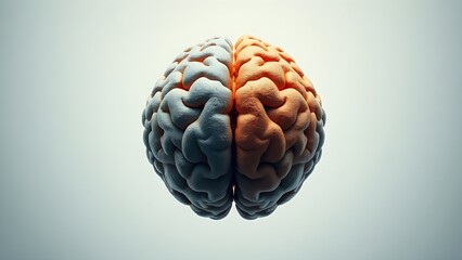 hemispheres. Illustration of a human brain divided into hemispheres, representing emotion and logic with abstract details. wellbeing guides.